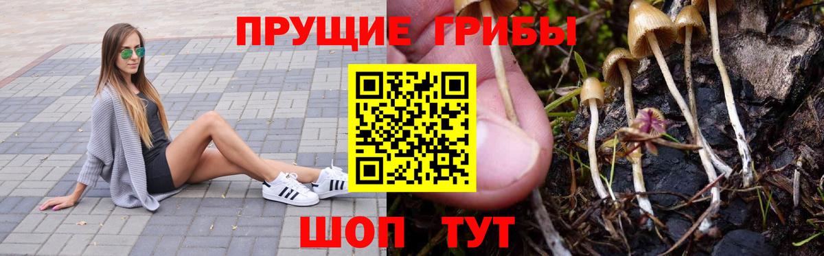 Галлюциногенные грибы мухоморы Лыткарино